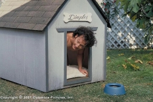 喜剧电影《人面兽心》恐怖惊悚电影影视解说自媒体素材文案/片源下载插图 喜剧电影《人面兽心》恐怖惊悚电影影视解说自媒体素材文案/片源下载