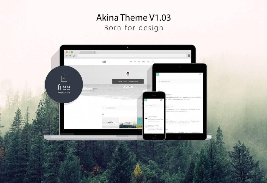 【WordPress主题】UI简洁主题AKINA Theme插图 【WordPress主题】UI简洁主题AKINA Theme