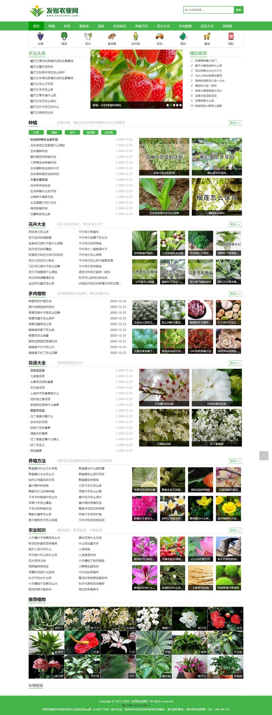 635c11e7528ba.jpg 帝国cms7.5仿发财农业网/农业知识养殖技术花卉大全发财树栽培农机农作物模板