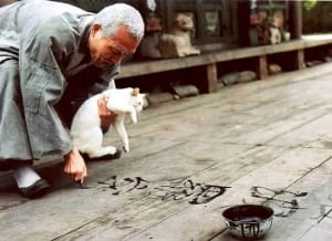 剧情电影《春夏秋冬又一春》恐怖惊悚电影影视解说自媒体素材文案/片源下载插图 剧情电影《春夏秋冬又一春》恐怖惊悚电影影视解说自媒体素材文案/片源下载