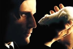 惊悚电影《驭鼠怪人》恐怖惊悚电影影视解说自媒体素材文案/片源下载插图 惊悚电影《驭鼠怪人》恐怖惊悚电影影视解说自媒体素材文案/片源下载