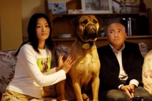 剧情电影《爱情呼叫转移》恐怖惊悚电影影视解说自媒体素材文案/片源下载插图 剧情电影《爱情呼叫转移》恐怖惊悚电影影视解说自媒体素材文案/片源下载