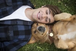 剧情电影《一条狗的使命》恐怖惊悚电影影视解说自媒体素材文案/片源下载插图 剧情电影《一条狗的使命》恐怖惊悚电影影视解说自媒体素材文案/片源下载