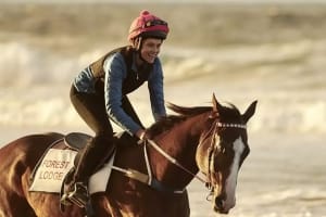 剧情电影《赛马女孩》恐怖惊悚电影影视解说自媒体素材文案/片源下载插图 剧情电影《赛马女孩》恐怖惊悚电影影视解说自媒体素材文案/片源下载