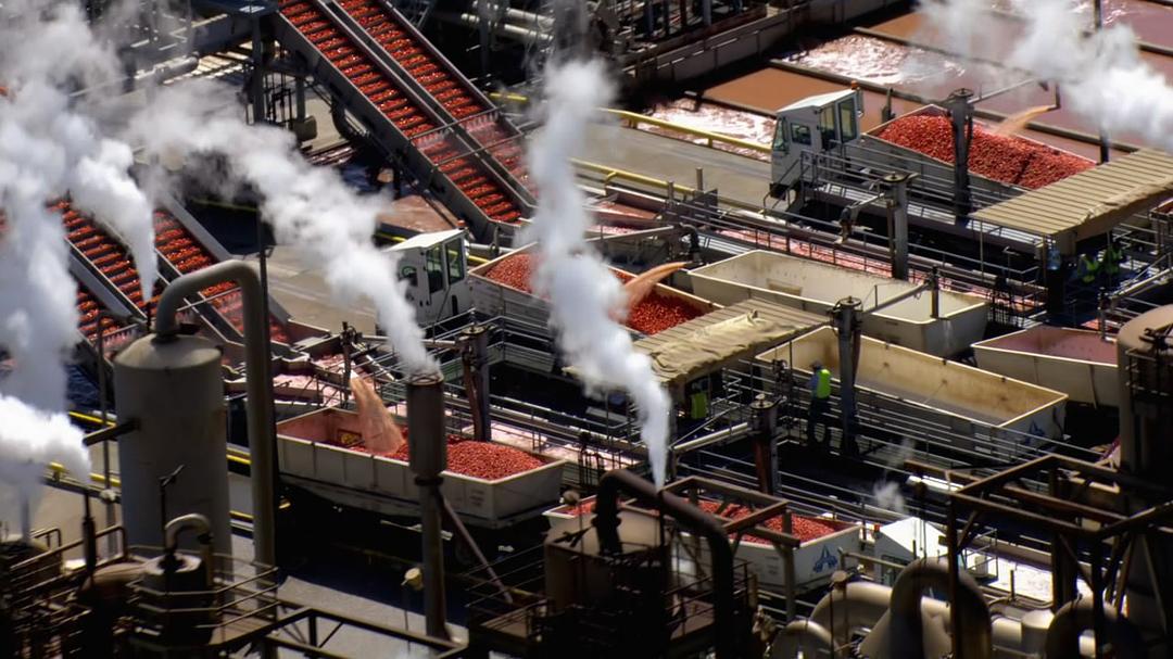 透视美国 America Revealed插图11 透视美国 America Revealed