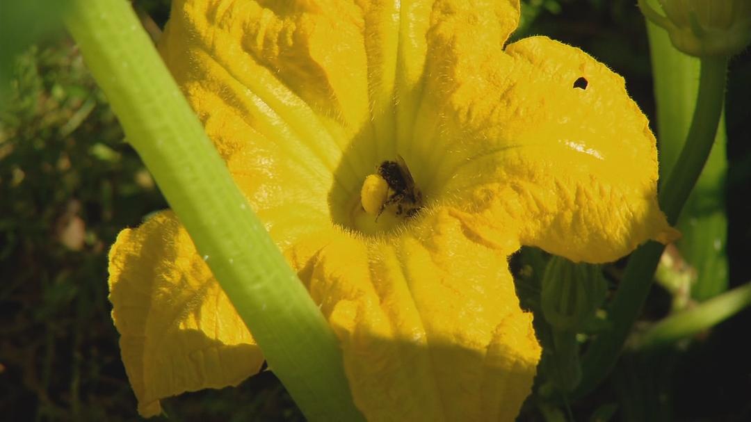 透视美国 America Revealed插图13 透视美国 America Revealed