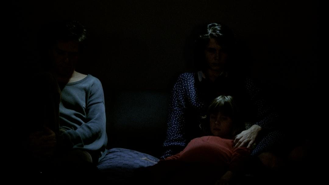 第七大陆 Der siebente Kontinent插图6 第七大陆 Der siebente Kontinent