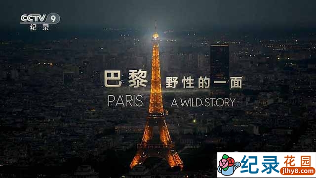 央视自然生态纪录片《巴黎:野性的一面 Paris – A Wild Story》全2集 TS/蓝光高清纪录片资源百度云盘下载插图 央视自然生态纪录片《巴黎:野性的一面 Paris – A Wild Story》全2集 TS/蓝光高清纪录片资源百度云盘下载