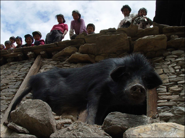 德拉姆插图5 德拉姆