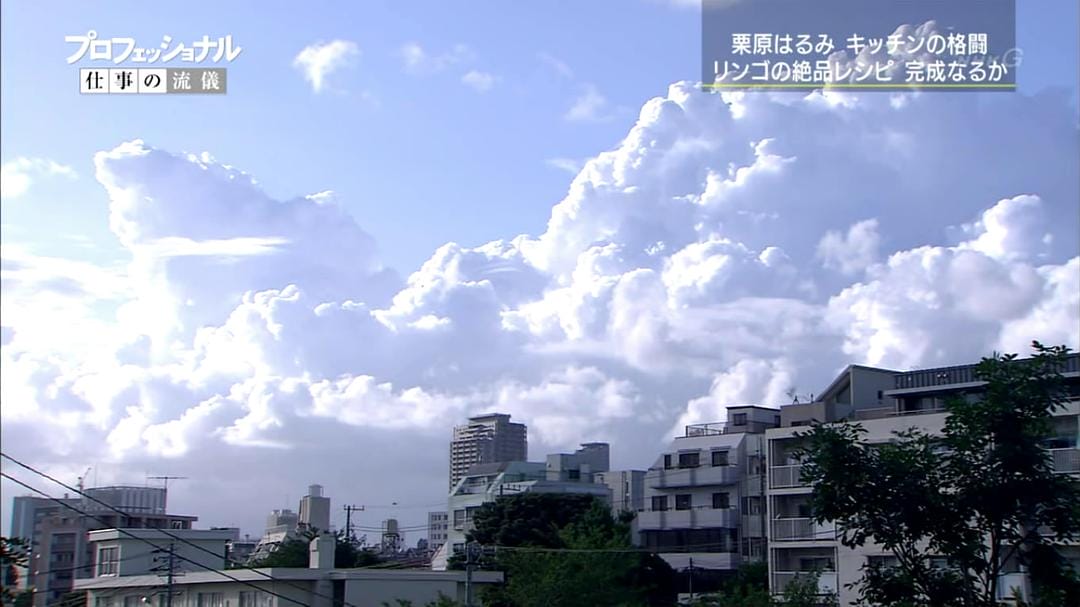 坚信料理的力量 料理家栗原晴美 料理のカを、信じていゐ 料理家栗原はゐは插图2 坚信料理的力量 料理家栗原晴美 料理のカを、信じていゐ 料理家栗原はゐは