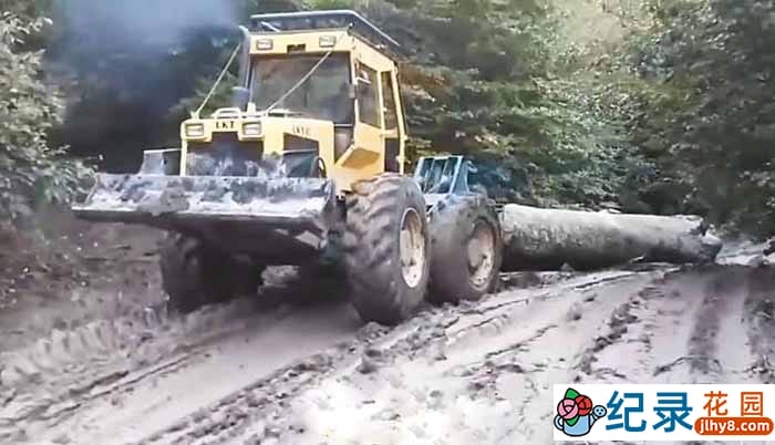 监控下的一幕纪录片《离奇交通事故》第2季原版无字 1080P高清自媒体解说素材百度云盘下载插图 监控下的一幕纪录片《离奇交通事故》第2季原版无字 1080P高清自媒体解说素材百度云盘下载