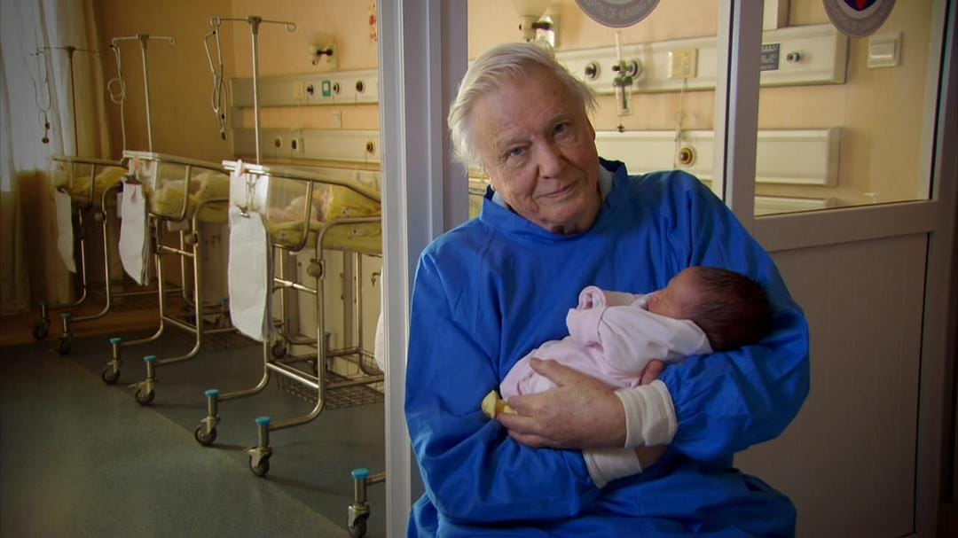 动物的崛起:脊椎动物的胜利 David Attenborough's Rise of Animals: Triumph of the Vertebrates插图9 动物的崛起:脊椎动物的胜利 David Attenborough's Rise of Animals: Triumph of the Vertebrates