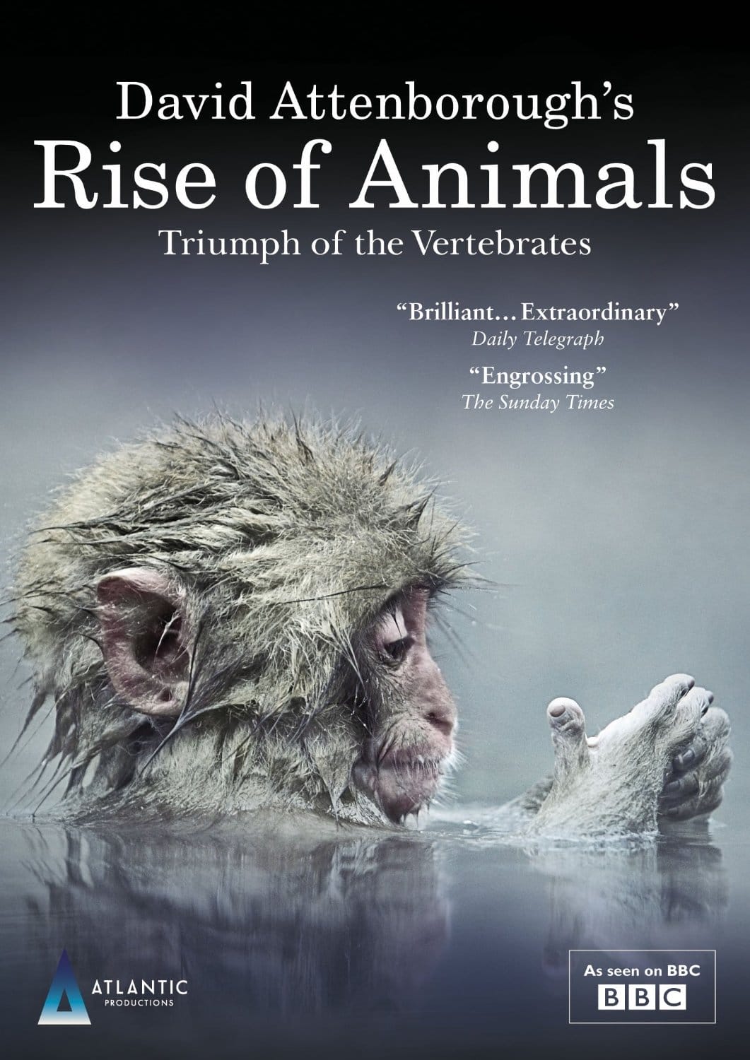 动物的崛起:脊椎动物的胜利 David Attenborough's Rise of Animals: Triumph of the Vertebrates插图11 动物的崛起:脊椎动物的胜利 David Attenborough's Rise of Animals: Triumph of the Vertebrates