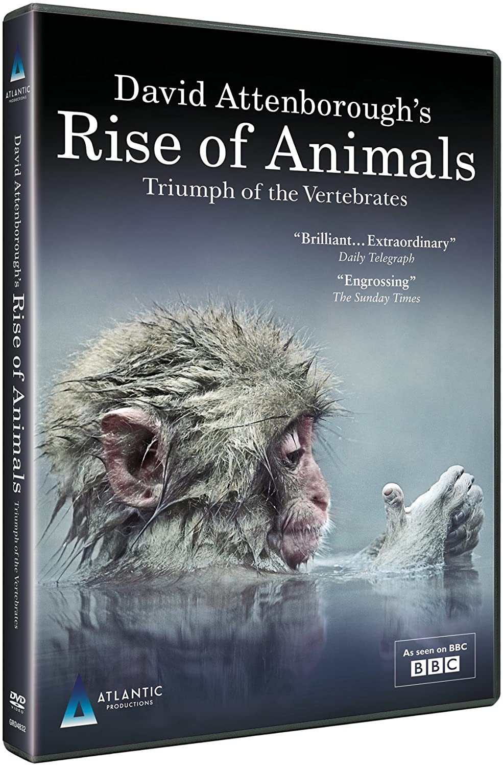 动物的崛起:脊椎动物的胜利 David Attenborough's Rise of Animals: Triumph of the Vertebrates插图13 动物的崛起:脊椎动物的胜利 David Attenborough's Rise of Animals: Triumph of the Vertebrates