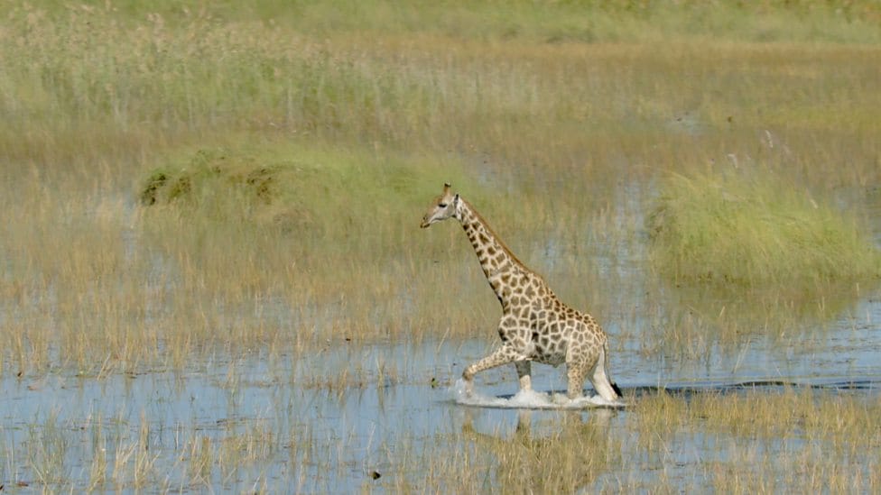 地球最壮观的景色 Earth's Greatest Spectacles插图4 地球最壮观的景色 Earth's Greatest Spectacles
