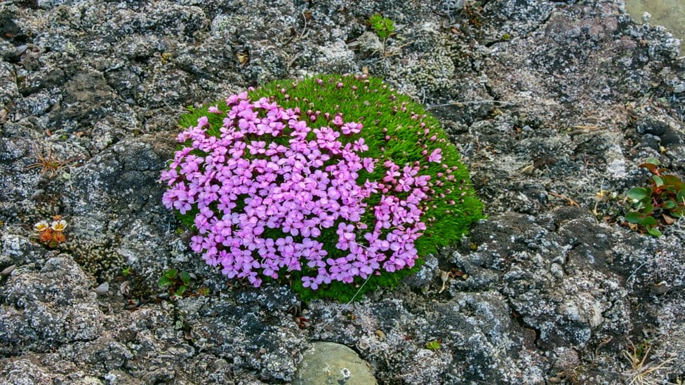 地球最壮观的景色 Earth's Greatest Spectacles插图9 地球最壮观的景色 Earth's Greatest Spectacles