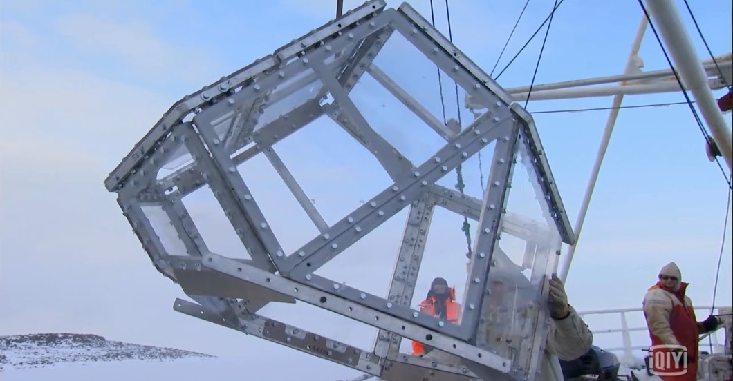 我和北极熊一家 The Polar Bear Family & Me插图 我和北极熊一家 The Polar Bear Family & Me