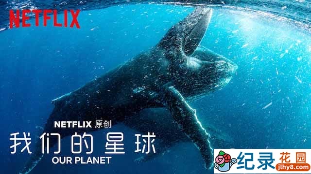 Netflix自然生态纪录片《我们的星球 Our Planet》全8集 720P/1080i高清纪录片资源百度云盘下载插图 Netflix自然生态纪录片《我们的星球 Our Planet》全8集 720P/1080i高清纪录片资源百度云盘下载