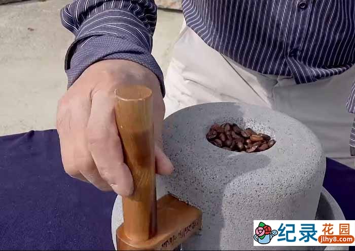 韩国版造物小百科纪录片《如何创造他们》第4季原版无字 1080P高清自媒体解说素材百度云盘下载插图 韩国版造物小百科纪录片《如何创造他们》第4季原版无字 1080P高清自媒体解说素材百度云盘下载