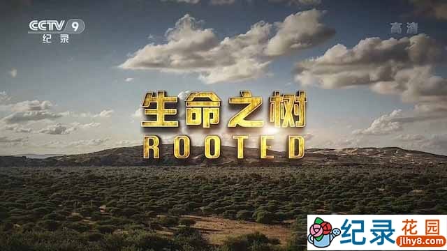 央视野生植物纪录片《生命之树 Rooted》全5集 TS/蓝光高清纪录片资源百度云盘下载插图 央视野生植物纪录片《生命之树 Rooted》全5集 TS/蓝光高清纪录片资源百度云盘下载