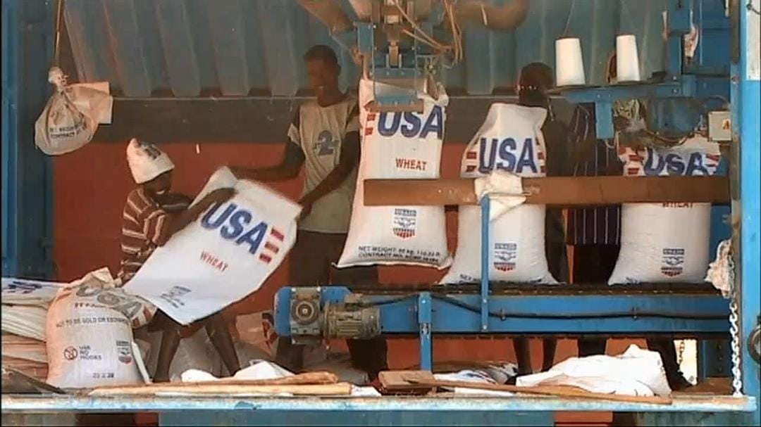 黑金 Black Gold插图3 黑金 Black Gold