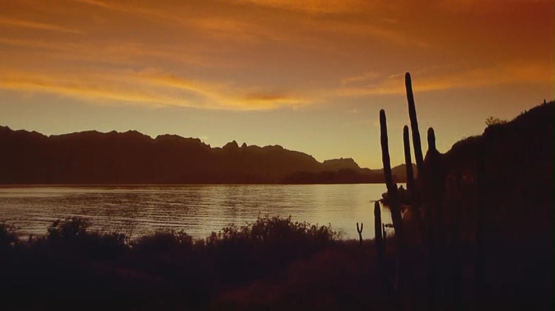 海洋绿洲 Ocean Oasis插图2 海洋绿洲 Ocean Oasis