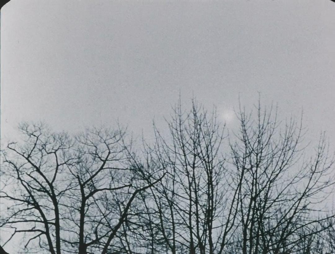 回忆立陶宛之旅 Reminiscences of a Journey to Lithuania插图6 回忆立陶宛之旅 Reminiscences of a Journey to Lithuania