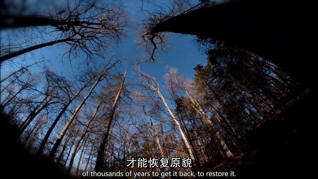 地球2100 earth 2100插图6 地球2100 earth 2100