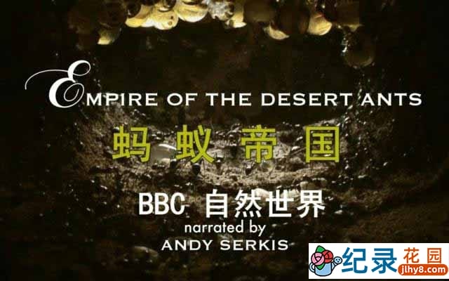 BBC自然生态纪录片《蚂蚁帝国 Empire of the Desert Ants 2010》全1集 720P/1080i高清纪录片百度云插图 BBC自然生态纪录片《蚂蚁帝国 Empire of the Desert Ants 2010》全1集 720P/1080i高清纪录片百度云