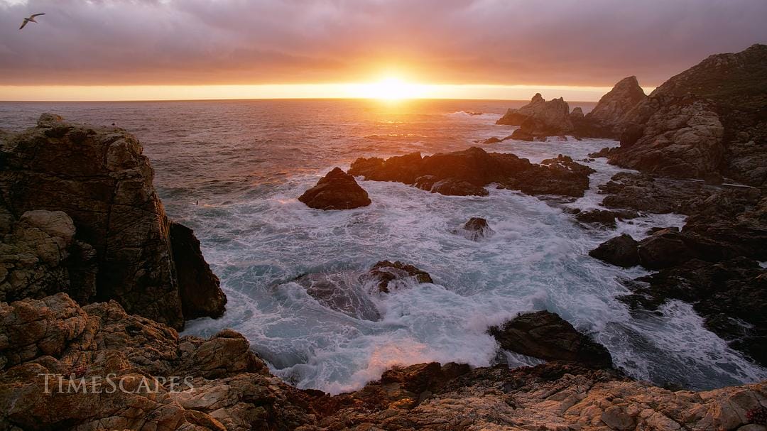 时间的风景 TimeScapes插图1 时间的风景 TimeScapes