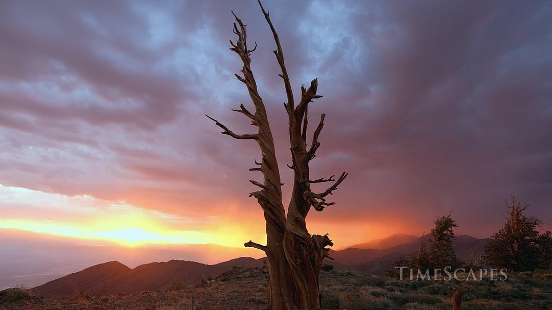 时间的风景 TimeScapes插图2 时间的风景 TimeScapes