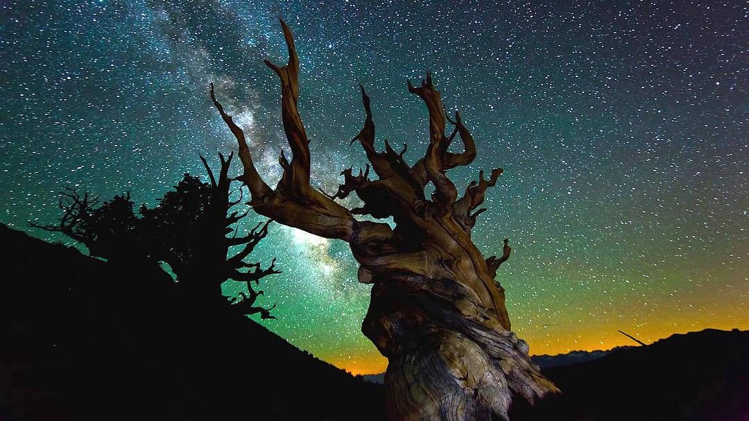 时间的风景 TimeScapes插图10 时间的风景 TimeScapes