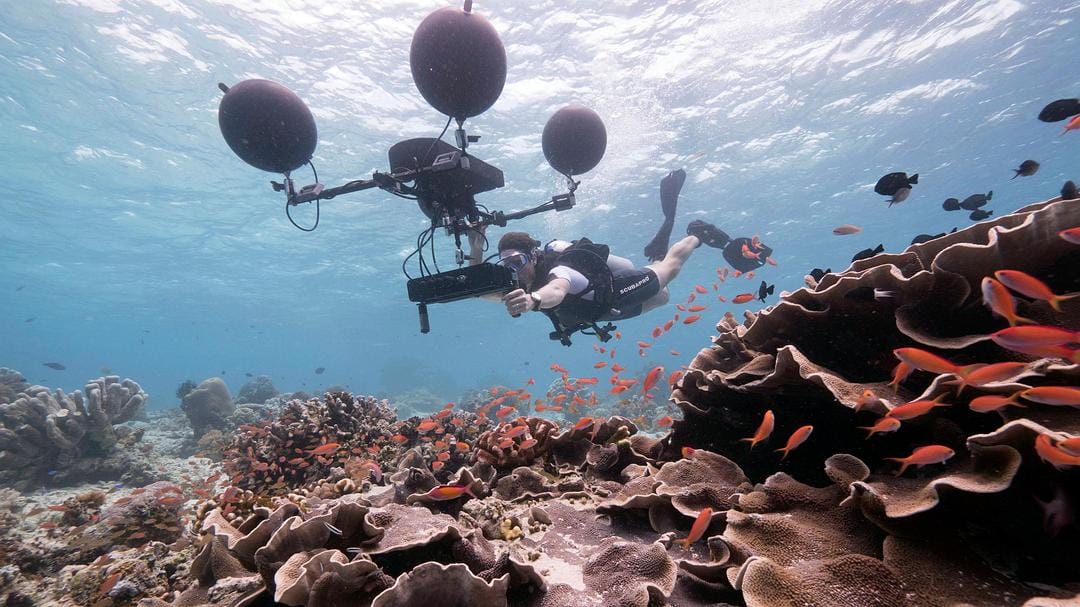 蓝色星球2 Blue Planet II插图11 蓝色星球2 Blue Planet II