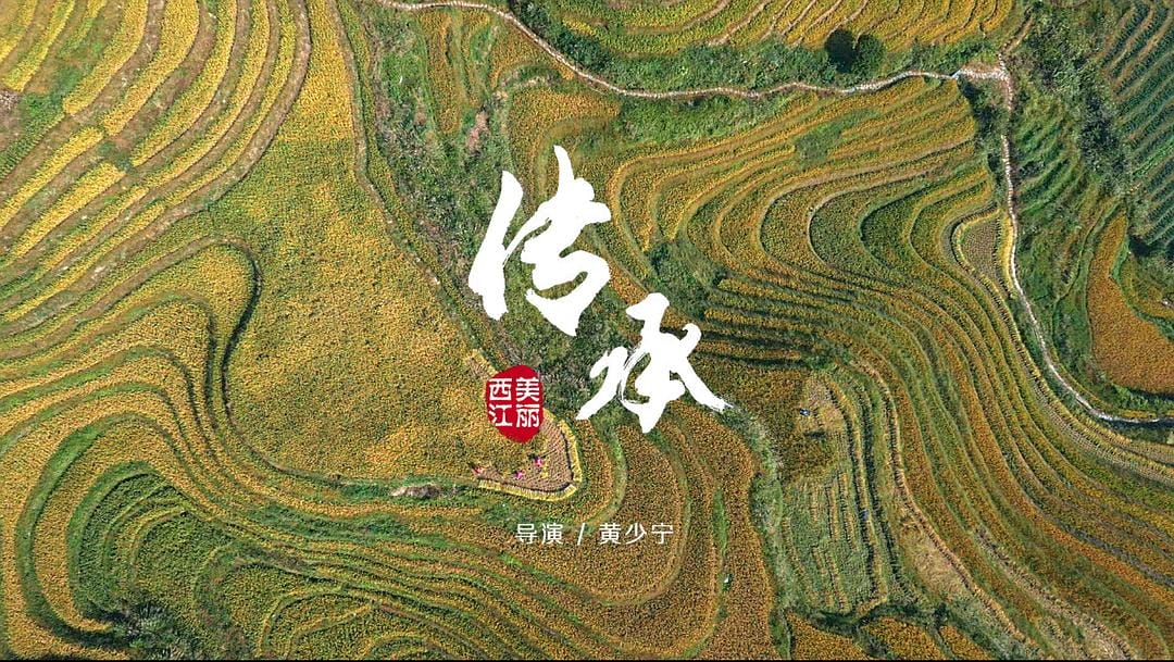 美丽西江插图14 美丽西江