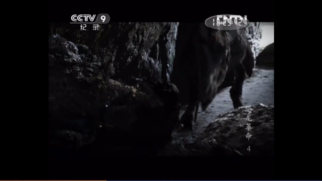 恐龙革命 Dinosaur Revolution插图5 恐龙革命 Dinosaur Revolution