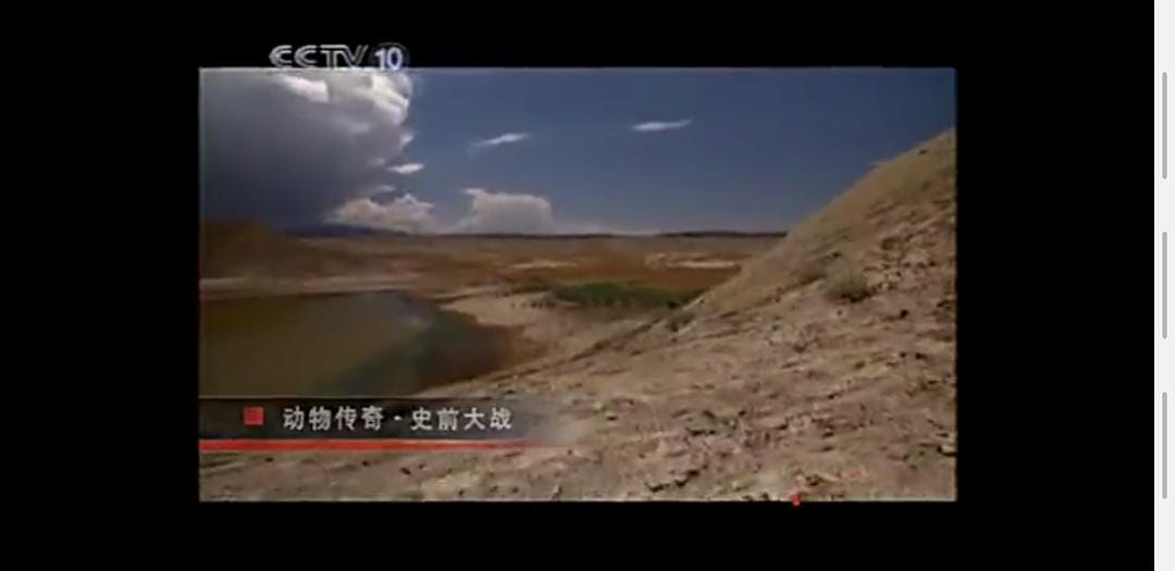 恐龙革命 Dinosaur Revolution插图13 恐龙革命 Dinosaur Revolution