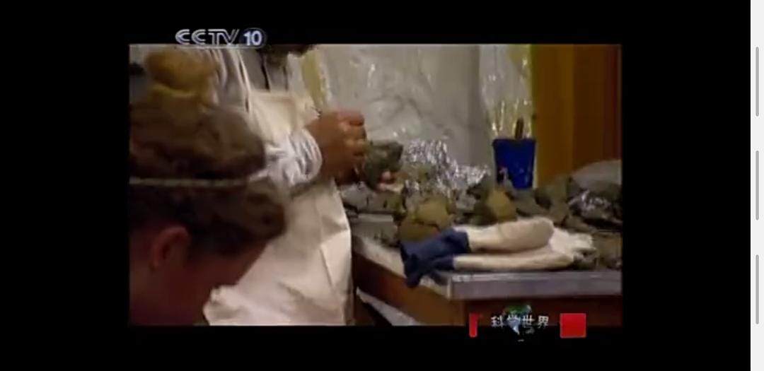 恐龙革命 Dinosaur Revolution插图14 恐龙革命 Dinosaur Revolution