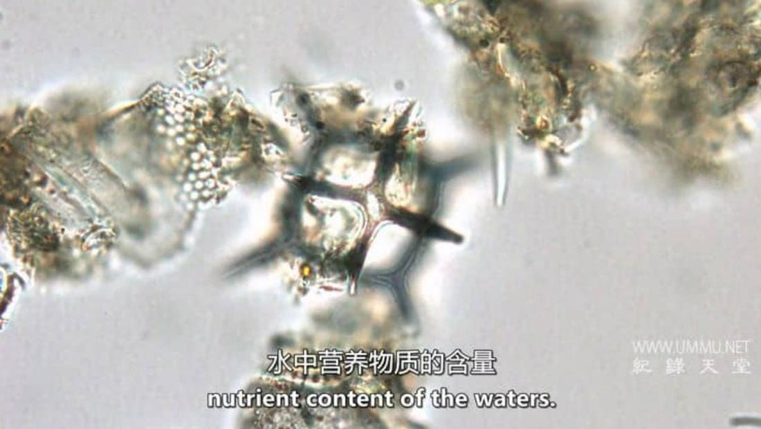 世界之底的湖泊 The Lake at the Bottom of the World插图3 世界之底的湖泊 The Lake at the Bottom of the World