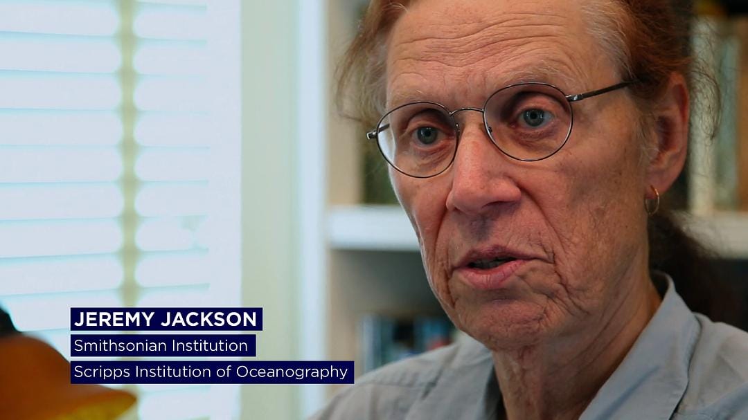 蓝色任务 Mission Blue插图5 蓝色任务 Mission Blue