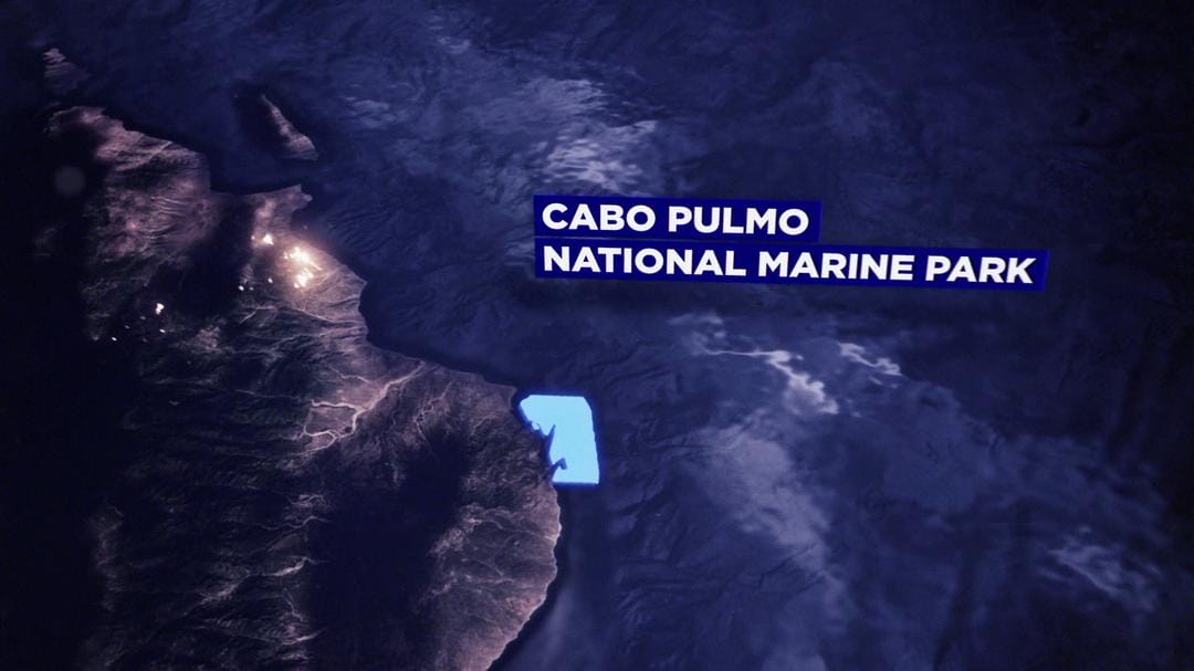 蓝色任务 Mission Blue插图7 蓝色任务 Mission Blue