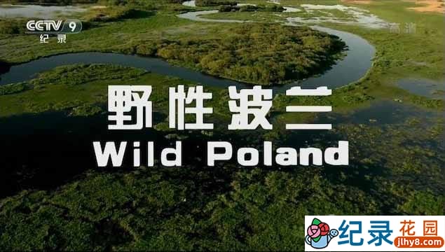 央视自然生态纪录片《野性波兰 Wild Poland》全1集 720P/1080i高清纪录片资源百度云盘下载插图 央视自然生态纪录片《野性波兰 Wild Poland》全1集 720P/1080i高清纪录片资源百度云盘下载