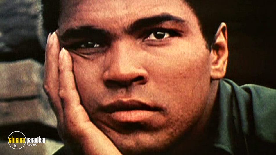 一代拳王 When We Were Kings插图5 一代拳王 When We Were Kings