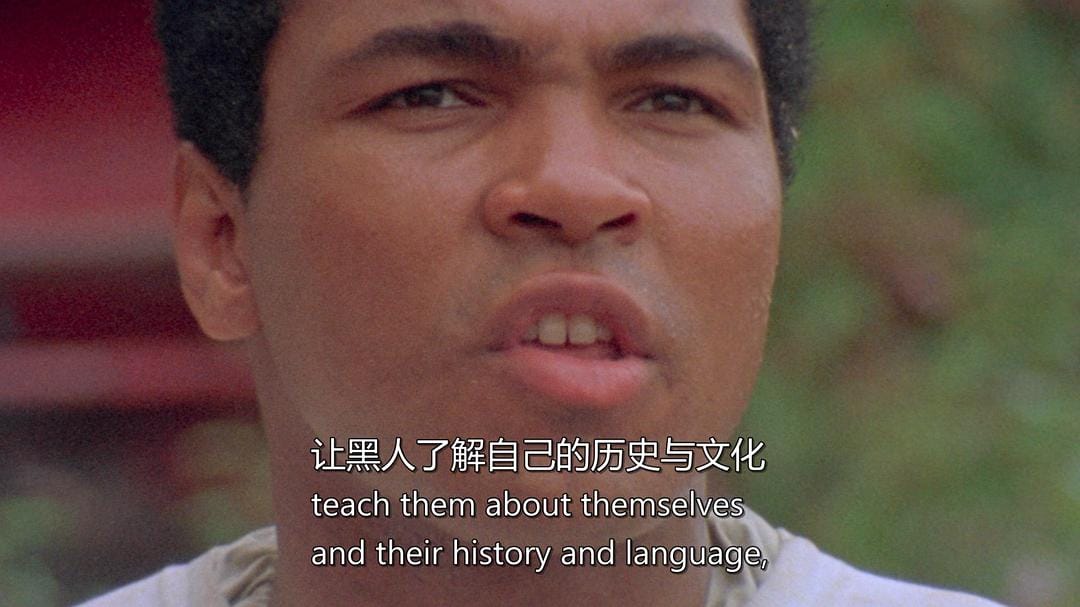 一代拳王 When We Were Kings插图13 一代拳王 When We Were Kings