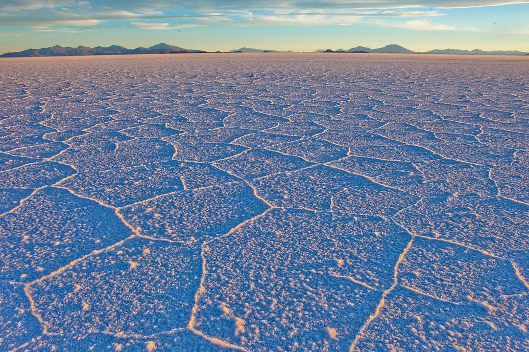 地球之盐 Le sel de la Terre插图6 地球之盐 Le sel de la Terre