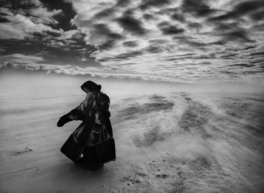 地球之盐 Le sel de la Terre插图12 地球之盐 Le sel de la Terre