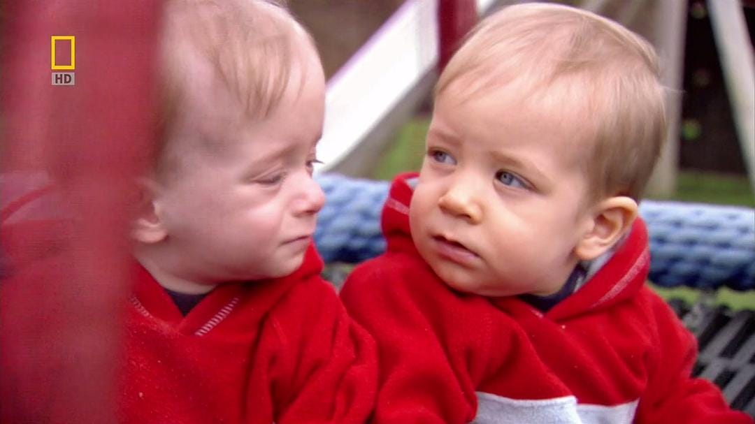 子宫日记:多胞胎 In the Womb: Multiples插图 子宫日记:多胞胎 In the Womb: Multiples