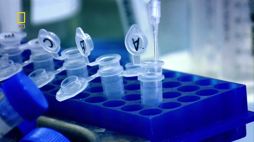 子宫日记:多胞胎 In the Womb: Multiples插图14 子宫日记:多胞胎 In the Womb: Multiples