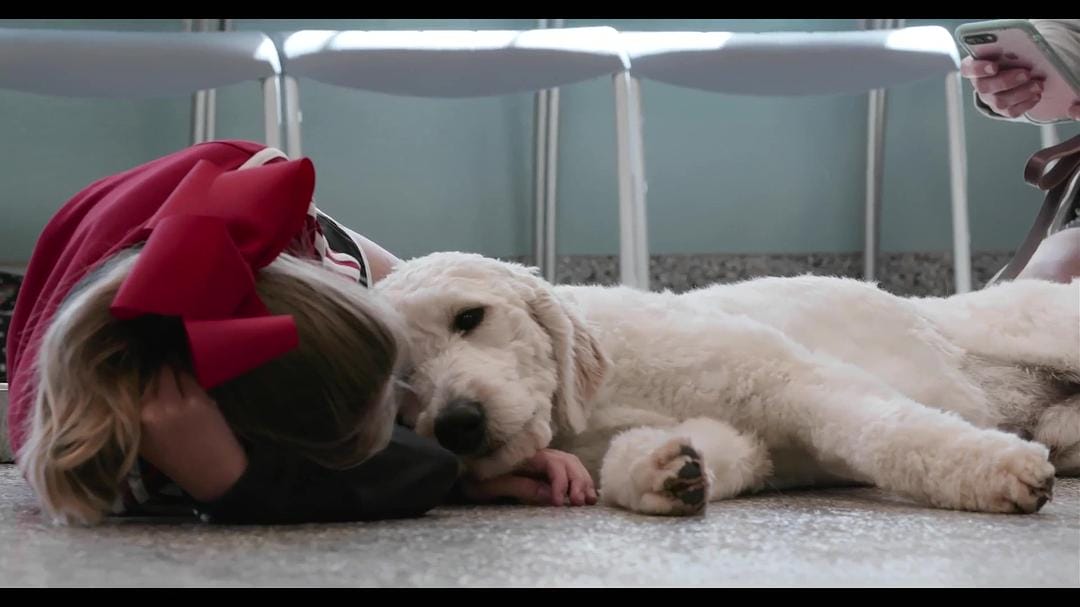 爱犬情深 第一季 Dogs Season 1插图8 爱犬情深 第一季 Dogs Season 1