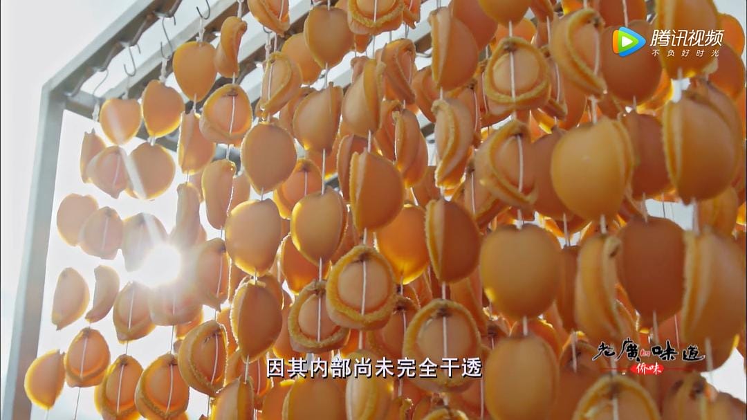 老广的味道 第四季插图2 老广的味道 第四季