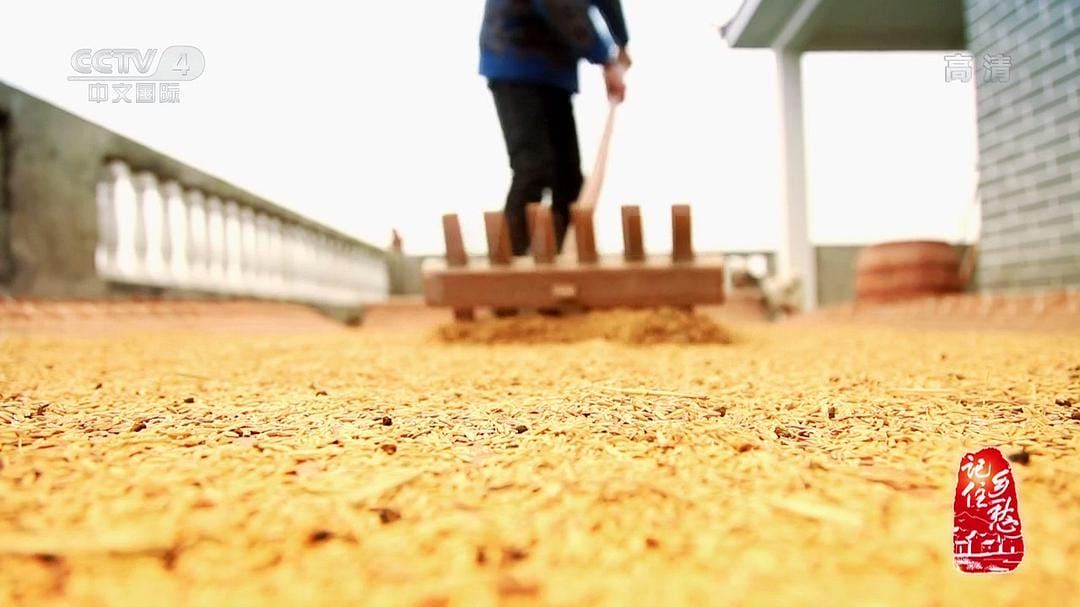 记住乡愁 第二季插图6 记住乡愁 第二季